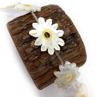 Natural White Shell Beads Flower DIY white Sold By PC