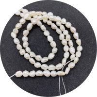 Keishi odlad sötvattenspärla pärlor, Freshwater Pearl, Oregelbunden, polerad, DIY & olika storlek för val, vit, Såld Per Ca 14.96 inch Strand