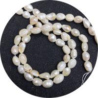 Barock odlad sötvattenspärla pärlor, Freshwater Pearl, Oregelbunden, polerad, DIY, vit, 7-8mm, Såld Per Ca 14.96 inch Strand