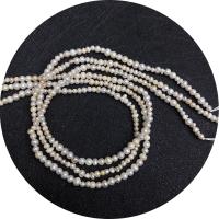 Keishi odlad sötvattenspärla pärlor, Freshwater Pearl, Oregelbunden, polerad, DIY, 3-4mm, Såld Per Ca 14.96 inch Strand