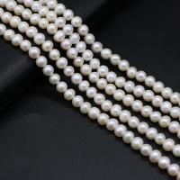 Runde ferskvandskulturperle Beads, Ferskvandsperle, du kan DIY, hvid, 6-7mm, Solgt Per Ca. 14.17 inch Strand