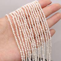 Kartoffel ferskvandskulturperle Beads, Ferskvandsperle, naturlig, du kan DIY, hvid, 2-3mm, Solgt Per Ca. 14-15 inch Strand