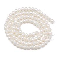 Okrugli Kulturan Slatkovodni Pearl perle, prirodan, možete DIY, više boja za izbor, 3-4mm, Prodano Per Približno 14-15 inčni Strand