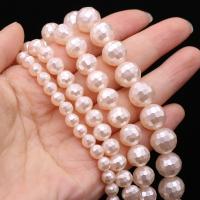 Shell Pearl Χάντρα, Γύρος, DIY & διαφορετικό μέγεθος για την επιλογή & πολύπλευρη, Sold Per Περίπου 14-15 inch Strand