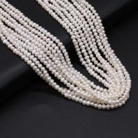 Brambor pěstované sladkovodní perle, Sladkovodní Pearl, přírodní, DIY, bílý, 3-3.5mm, Prodáno za Cca 14-15 inch Strand