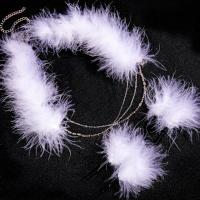 plume parure de bijoux, épingle à cheveux & mariée frontlet, avec quartz clair & alliage de zinc, fait à la main, 2 pièces & pour femme, blanc, 6*50cmuff0c6*11cm, 3PC/lot, Vendu par lot