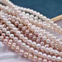 Kulaté kultivované sladkovodní perle, Sladkovodní Pearl, Kolo, přírodní, DIY, více barev na výběr, 7-8mm, Prodáno za Cca 38-40 cm Strand