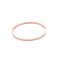 304 rustfrit stål Bangle, for kvinde, flere farver til valg, 4x54x67mm, Solgt af PC