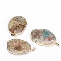 Edelsteen Hangers Sieraden, Marine Fossil, met Messing, gold plated, uniseks, gemengde kleuren, 34x58mm, Verkocht door PC