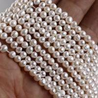 Krumpir Kulturan Slatkovodni Pearl perle, Oval, možete DIY, bijel, 4.3*5mm, Približno 80računala/Strand, Prodano Per Približno 35 cm Strand