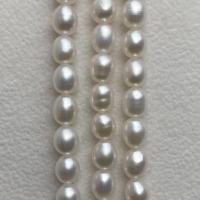 Rice Kulturan Slatkovodni Pearl perle, Riža, možete DIY, bijel, 5-6mm, Prodano Per Približno 14.57 inčni Strand