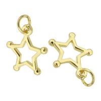 Colgantes de la joyería de cobre amarillo, metal, chapado en color dorado, Bricolaje, dorado, 12x13x2mm, agujero:aproximado 2mm, 10PCs/Grupo, Vendido por Grupo