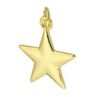 Colgantes de la joyería de cobre amarillo, metal, Estrella, chapado en color dorado, Bricolaje, dorado, 14x16x1.50mm, agujero:aproximado 3mm, 10PCs/Grupo, Vendido por Grupo