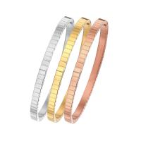 Titanium Staal Bangle, voor vrouw, meer kleuren voor de keuze, 58x4mm, Verkocht door PC