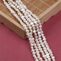 Pérolas Keishi cultivadas em água doce, Pérolas de água doce, Barroco, DIY, branco, 5-6mm, vendido para Aprox 14-15 inchaltura Strand