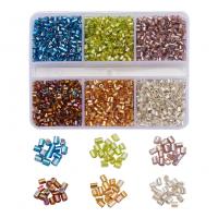 Ezüst Bélelt Glass Seed Beads, Üveggyöngyök, -val Műanyag doboz, DIY, kevert színek, nikkel, ólom és kadmium mentes, 82x63x15mm, Kb 3900PC-k/Box, Által értékesített Box