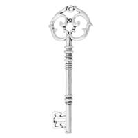 Zinklegering Key Hangers, Zinc Alloy, Sleutel, antiek zilver plated, uniseks, zilver, nikkel, lood en cadmium vrij, 31x82x4mm, Gat:Ca 2mm, Verkocht door KG