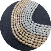 Cultured Rice Freshwater Pearl Beads polished DIY Sold Per Approx 14.96 Inch Strand