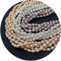 Cultured Rice Freshwater Pearl Beads polished DIY Sold Per Approx 14.96 Inch Strand