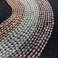 Cultured Rice Freshwater Pearl Beads polished DIY Sold Per Approx 14.96 Inch Strand