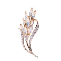 Broche cristal, alliage de zinc, avec cristal, fleur, Placage de couleur d'or, pour femme & avec strass, Champagne, protéger l'environnement, sans nickel, plomb et cadmium, 58x24mm, Vendu par PC