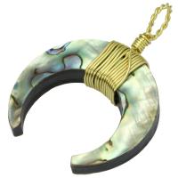 Naturlig Abalone Shell Pendler, Zinc Alloy, med Abalone Shell, Unisex & forskellige stilarter for valg, nikkel, bly & cadmium fri, Hole:Ca. 8mm, Solgt af PC