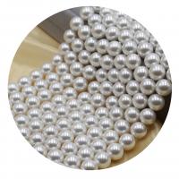 Contas de conchas do Mar do Sul, Shell Pearl, Roda, DIY & tamanho diferente para a escolha, branco, vendido para Aprox 14.96 inchaltura Strand