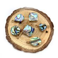 Abalone Shell Függő, -val Sárgaréz, arany színű aranyozott, egynemű & különböző stílusokat a választás, több színt a választás, Által értékesített PC