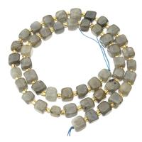 Perline Labradorite, with Seedbead, Quadrato, DIY, grigio, 6x6x6mm, Venduto per Appross. 15.1 pollice filo