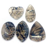 Ahat Privjesci Nakit, Dragon vene Agate, nasumično poslano & 5 komada, siv, 35x45-25x55mm, 5računala/Set, Prodano By Set