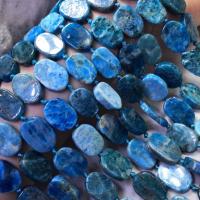 apatite perla, Rettangolo, lucido, DIY, blu, 13x18mm, Venduto per Appross. 38 cm filo