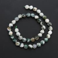 Tree Agate Χάντρα, Γύρος, γυαλισμένο, Star Cut Faceted & DIY & διαφορετικό μέγεθος για την επιλογή, μικτά χρώματα, Sold Per Περίπου 14.96 inch Strand