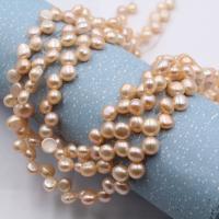 Barokní kultivované sladkovodní perle, Sladkovodní Pearl, Flat Round, DIY, více barev na výběr, 7mm, Cca 60PC/Strand, Prodáno By Strand