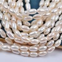 Rýže kultivované sladkovodní perle, Sladkovodní Pearl, DIY, bílý, 7x11mm, Prodáno za 36-38 cm Strand