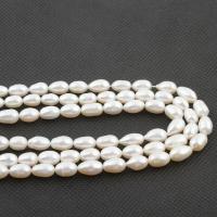 Rýže kultivované sladkovodní perle, Sladkovodní Pearl, DIY, bílý, 7x12mm, Prodáno za 36-38 cm Strand