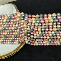 South Sea Shell perler, Shell Pearl, Runde, forgyldt, du kan DIY & forskellig størrelse for valg, blandede farver, nikkel, bly & cadmium fri, Solgt Per Ca. 14.96 inch Strand