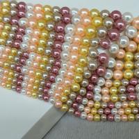 South Sea Shell Beads Shell Pearl Round plated DIY mixed colors nickel lead & cadmium free Sold Per Approx 14.96 Inch Strand