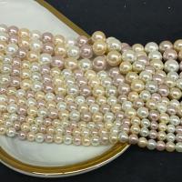 South Sea Shell Beads Shell Pearl Round plated DIY mixed colors nickel lead & cadmium free Sold Per Approx 14.96 Inch Strand