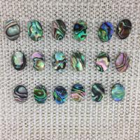 coquille d'ormeau cabochon, ovale plat, gravé, DIY, multicolore, 10x14mm, Vendu par PC