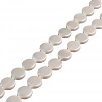 Shell Pearl Bead, Flat Round, olika storlek för val, vit, nickel, bly och kadmium gratis, Såld Per Ca 15.75 inch Strand