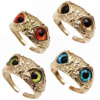 Resin fingerring, Messing, med Resin, Owl, guldfarve belagt, mode smykker & Unisex, flere farver til valg, nikkel, bly & cadmium fri, 13x20mm, Solgt af PC