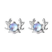 Sterling Silver Jewelry orecchino, 925 argento sterlina, with Moonstone, Palchi di corna, per la donna, argento, 9.60x7.20mm, Venduto da coppia