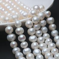 Okrugli Kulturan Slatkovodni Pearl perle, možete DIY, bijel, 9-10mm, Prodano Per 13.8 inčni Strand