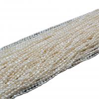 Rice Kulturan Slatkovodni Pearl perle, možete DIY & različite veličine za izbor, bijel, Prodano Per Približno 36-38 cm Strand