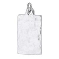 Bijoux pendentifs en acier inoxydable , Acier inoxydable 316, rectangle, DIY, couleur originale, 13x23x2mm, Trou:Environ 3mm, Vendu par PC