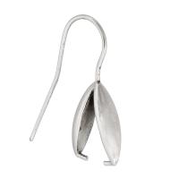 Cruach dhosmálta Hook Earwire, 316 Cruach dhosmálta, jewelry faisin & unisex, dath bunaidh, 9.5x14mm,0.8mm,24mm, Díolta De réir PC