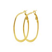 Zinc Alloy Drop Earrings plated fashion jewelry & for woman Sold By Pair