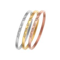 Titanium Staal Bangle, Donut, mode sieraden & micro pave zirconia & voor vrouw, meer kleuren voor de keuze, 4mm, Binnendiameter:Ca 58mm, Verkocht door PC