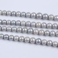 Edison+Pearl Bead, Babhta, DIY, airgead-liath, 11-15mm, Díolta Per Thart 38 cm Snáithe