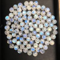 Φεγγαρόπετρα Cabochon, Γύρος, γυαλισμένο, DIY, λευκό, 10mm, Περίπου 100PCs/τσάντα, Sold Με τσάντα